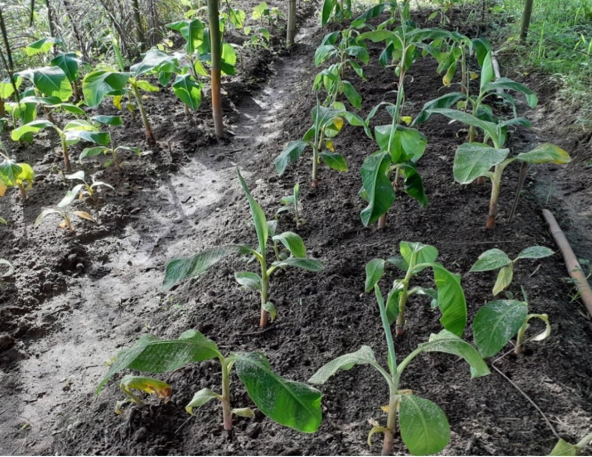 Innondation du lac tanganyika